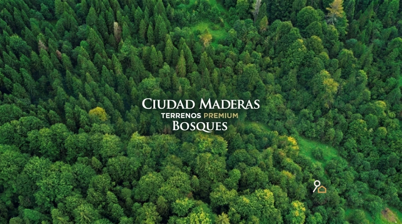 Bosques